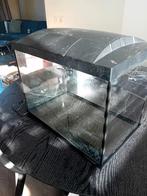 Aquarium start 50, Dieren en Toebehoren, Vissen | Aquaria en Toebehoren, Ophalen, Zo goed als nieuw, Leeg aquarium
