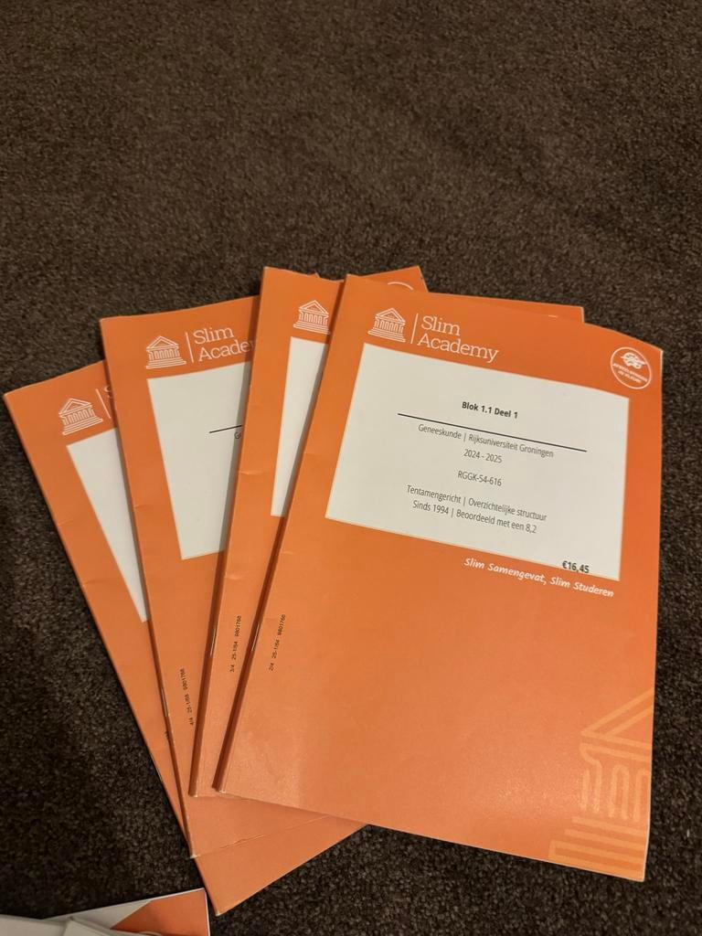 Slim Academy Samenvatting RUG gnk jaar 1, Boeken, Studieboeken en Cursussen, Ophalen of Verzenden, Zo goed als nieuw, WO