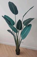 Te koop prachtige kunst Strelitzia - 190 cm, Ophalen, Zo goed als nieuw, Binnen