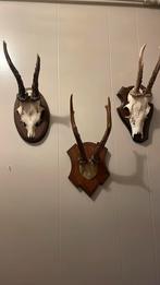 Geweitjes 3 stuks of los te koop, Ophalen of Verzenden, Zo goed als nieuw, Beeldje of Figuurtje