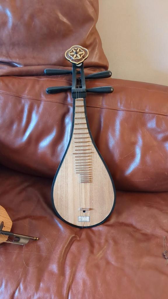 Snaarinstrument., Muziek en Instrumenten, Instrumenten | Toebehoren, Zo goed als nieuw, Ophalen