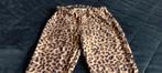 Flared Leopard Broek, Kleding | Dames, Ophalen of Verzenden, Nieuw, Maat 38/40 (M), Lang