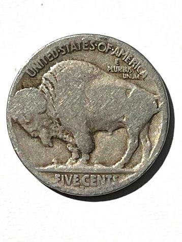 Buffalo Verenigde Staten 🇺🇸 beschikbaar voor biedingen