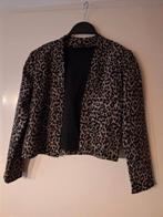 Super leuk jasje lady lol  maat s, Kleding | Dames, Ophalen of Verzenden, Gedragen, Maat 38/40 (M)