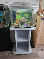 Superfish aqua60, Dieren en Toebehoren, Zo goed als nieuw, Ophalen, Leeg aquarium