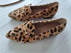 Dames schoen, Kleding | Dames, Schoenen, Schoenen met lage hakken, Overige kleuren, Nieuw, Ophalen of Verzenden