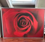 Schilderij 140 x 100 cm. met metalen lijst., Ophalen of Verzenden