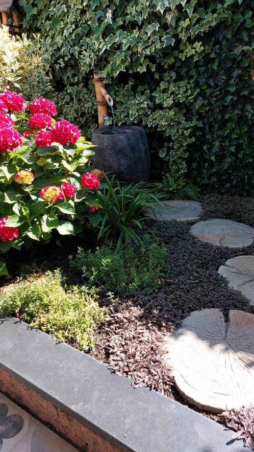 Gezellige bamboe waterpartij...goede stille pomp, Tuin en Terras, Planten | Bomen, Overige soorten, Halfschaduw, Bloeit niet, Ophalen