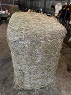 Prachtig hooi grote balen, bemest land,geschikt voor paarden, Ophalen, Vee