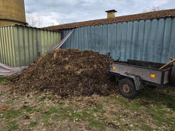 Pure paarden mest  gratis  beschikbaar voor biedingen