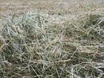 Hooi in kleine baaltjes in plastic verpakt., Ophalen