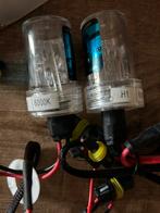 H1 xenon lampen, Ophalen of Verzenden, Nieuw