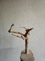 Papegaai standaard mini, Ophalen, Zo goed als nieuw