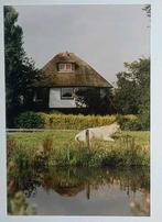 Mijdrecht (  Utr. ) foto Molen v/d Mijdrechtse Droogmakerij, Verzamelen, Verzenden, 1980 tot heden, Foto, Zo goed als nieuw