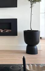 elho Pure Coupe Bloempot Ø 35 cm FonQ, Tuin en Terras, 25 tot 40 cm, Kunststof, Rond, Ophalen of Verzenden