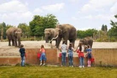 30% korting pp entree Eindhoven Zoo Mierlo (max. 4 personen), Tickets en Kaartjes, Recreatie | Dierentuinen, Drie personen of meer