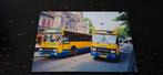 Bus foto Connexxion 3651 - Haarlem 1999, Ophalen of Verzenden, 1980 tot heden, Zo goed als nieuw