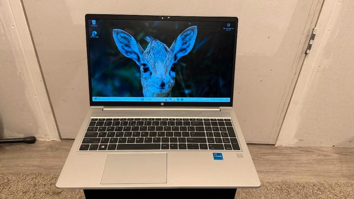 HP ProBook 450 G8, Computers en Software, Windows Laptops, Gebruikt, 15 inch, SSD, 2 tot 3 Ghz, 16 GB, Qwerty, Ophalen