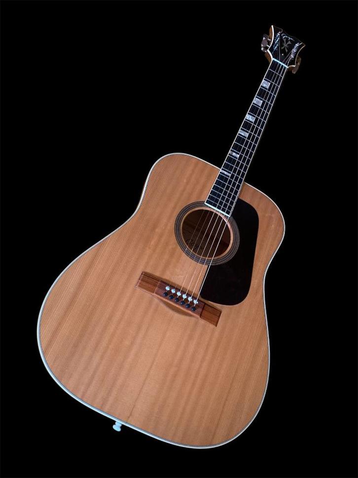 Levin/Goya Goliath G 174 1971 in perfecte staat, Muziek en Instrumenten, Snaarinstrumenten | Gitaren | Akoestisch, Zo goed als nieuw