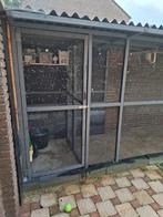 Zeer ruime volière met sluis, Dieren en Toebehoren, Ophalen, Gebruikt, Hout, Volière