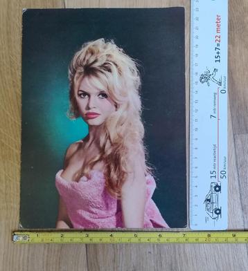 Supergrote kleurenfoto BRIGITTE BARDOT 60er jaren (nr13) beschikbaar voor biedingen