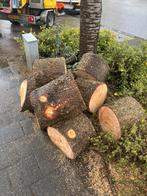 Gratis loofhout in EMMELOORD, Tuin en Terras, Minder dan 3 m³, Ophalen, Overige houtsoorten, Blokken