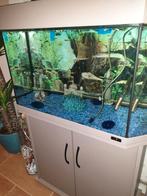 Te koop, mooie Juwel Aquarium met kast, Ophalen, Zo goed als nieuw, Leeg aquarium