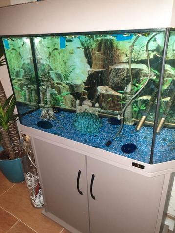 Te koop, mooie Juwel Aquarium met kast beschikbaar voor biedingen