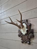 Prachtig Ree Gewei Hand Gestoken Schild Jacht Mancave d79, Ophalen of Verzenden, Hert, Gewei of Kop