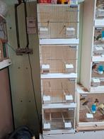 Te koop kweekkooi 4 hoog, Dieren en Toebehoren, Vogels | Hokken en Kooien, Ophalen, Gebruikt, Hout, Broedkooi of Kweekkooi