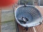 Honden fietsmand, Ophalen, Zo goed als nieuw