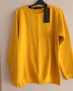 Aspact sweater geel mt M nieuw, Kleding | Heren, Truien en Vesten, Maat 48/50 (M), Geel, Ophalen of Verzenden, Nieuw