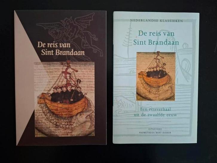 De reis van Sint Brandaan, Boeken, Geschiedenis | Stad en Regio, Zo goed als nieuw, Ophalen of Verzenden
