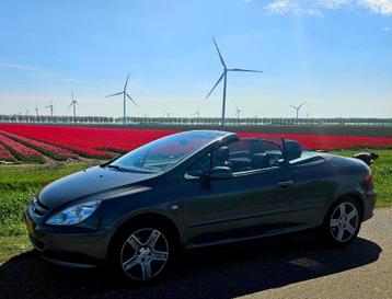 Peugeot 307 2.0 CC AUT 92.000km 17" velgen beschikbaar voor biedingen