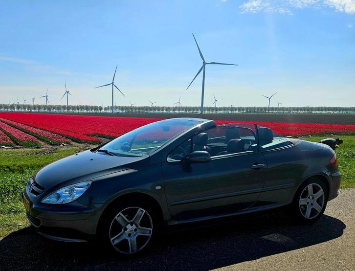 Peugeot 307 2.0 CC AUT 92.000km 17" velgen, Auto's, Peugeot, Particulier, ABS, Airbags, Airconditioning, Alarm, Boordcomputer