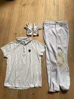 Wedstrijd kleding broek (Harry’s Horse) en shirt maat 140, Bovenkleding, Gebruikt, Ophalen of Verzenden, Dressuur