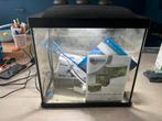 Te koop: Superfish aquarium Start 30, Dieren en Toebehoren, Vissen | Aquaria en Toebehoren, Ophalen, Gebruikt, Leeg aquarium