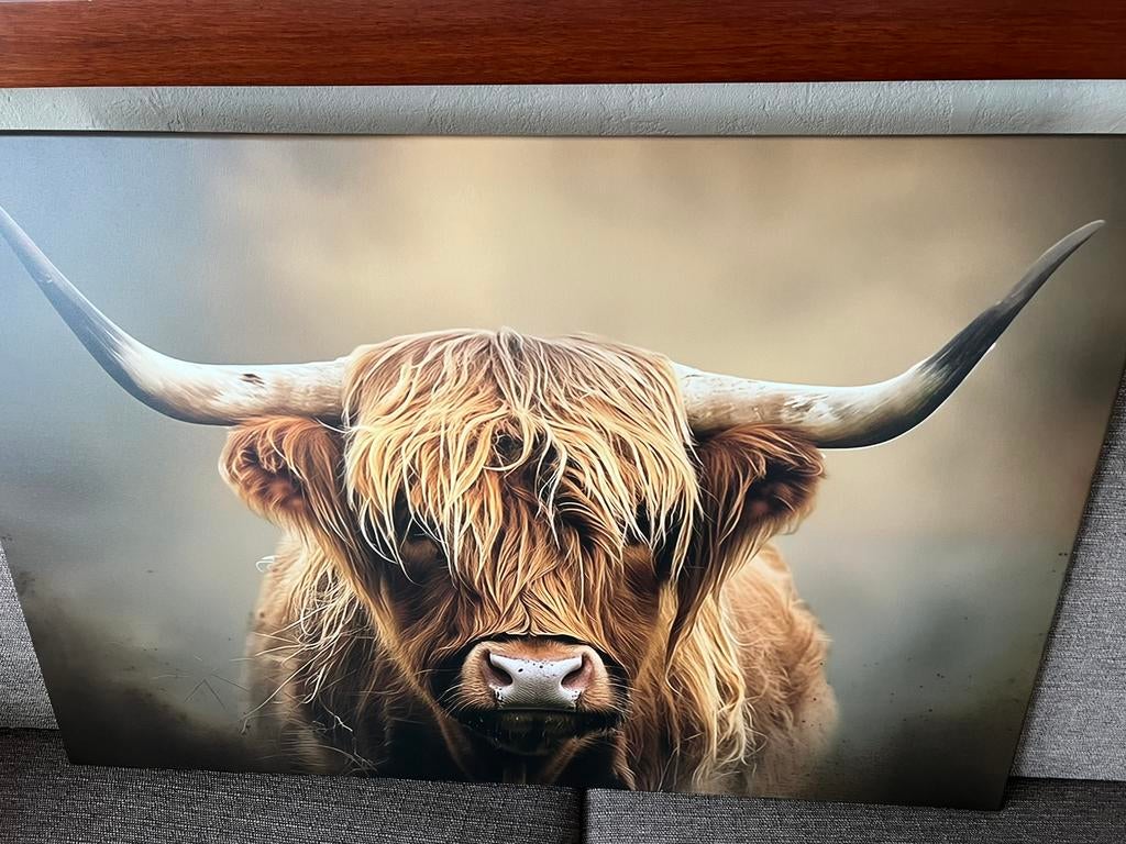 Canvas schotse hooglander afhaal €10,-, Ophalen, Nieuw, Schilderij, 75 cm of meer