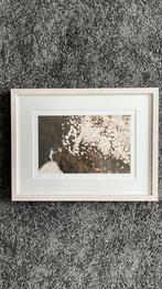 Lotte van Dijck prent met houten lijst 30x40 cm, Ophalen of Verzenden