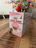 Royal Canin kitten sterilised, Ophalen, Kat