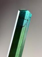 Blauw en groen toermalijn kristal, Ophalen of Verzenden, Mineraal