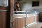 Voorwand Mini | Ponywand | Stalwand | Luxe | 26, Weidegang, 4 paarden of pony's of meer