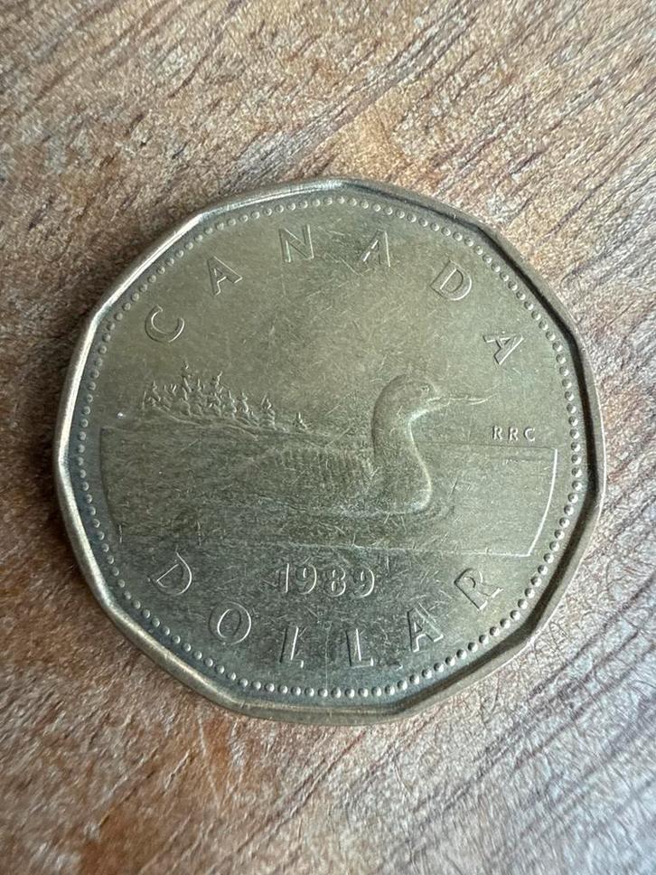 Canadese Dollar Munt 1989, Postzegels en Munten, Munten | Azië, Losse munt, Ophalen