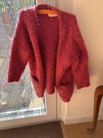 Zara Knitwear Vest Maat 110, Ophalen of Verzenden, Zo goed als nieuw, Meisje