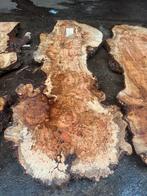 Zeldzame Esdoorn Burl Platen - Pracht Exemplaar!, Ophalen, Nieuw, 200 tot 250 cm, Plank