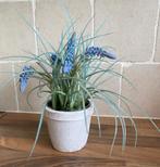 kunstplantje in bloembakje, kunstplant, mintgroen bloempotje, Ophalen of Verzenden, Zo goed als nieuw, Binnen
