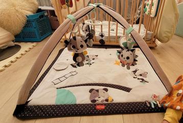 Tiny love Babygym activiteiten speelkleed beschikbaar voor biedingen