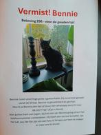VERMIST Cyperse kat Bennie, Dieren en Toebehoren, Katten-accessoires, Ophalen