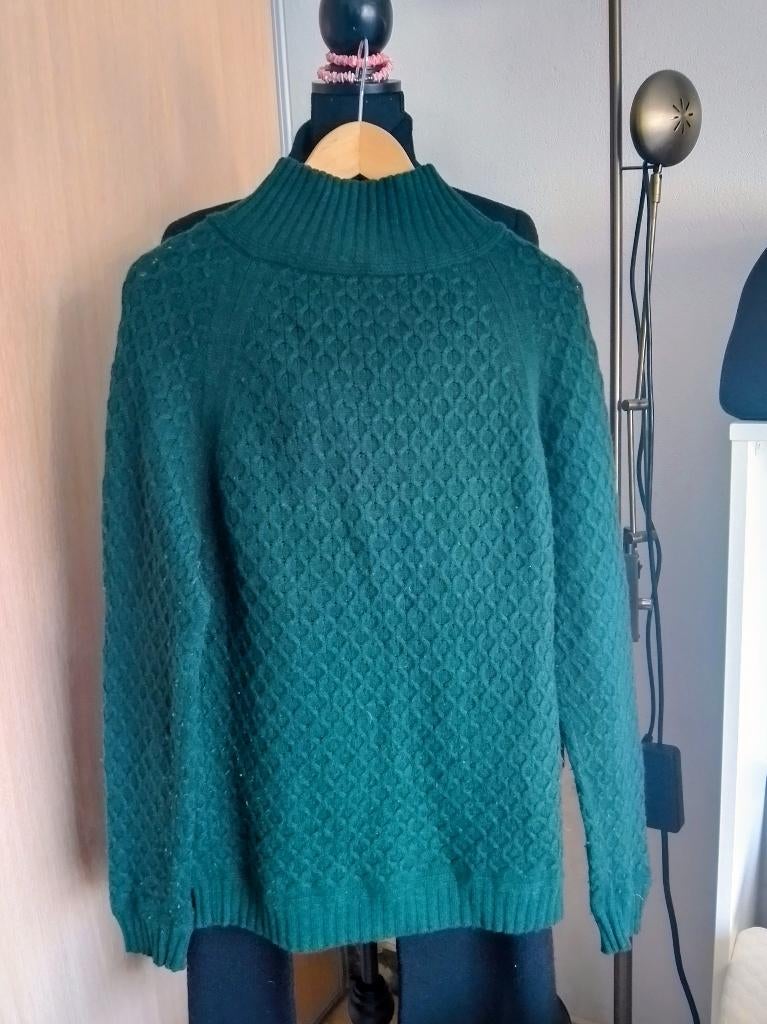 Wollen trui, Ophalen of Verzenden, Zo goed als nieuw, Groen, Maat 42/44 (L)