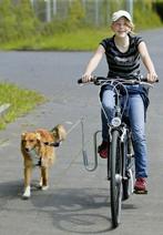 Altranet fietsbeugel voor honden met 50% korting, Overige merken, Algemeen, Overige typen, Nieuw